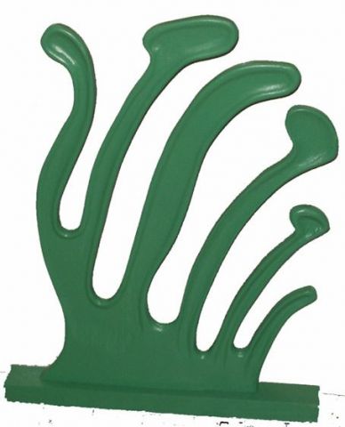 algue verte